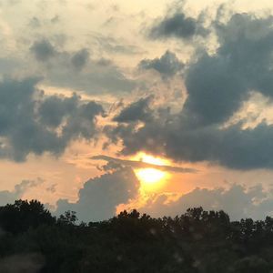 Meet your Posher, Genie